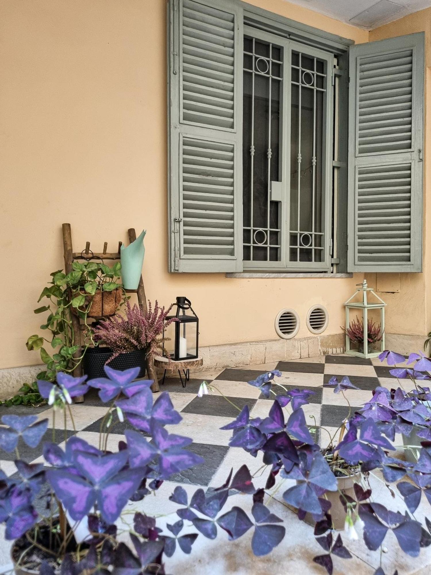 Colosseum Luxury Suite روما المظهر الخارجي الصورة